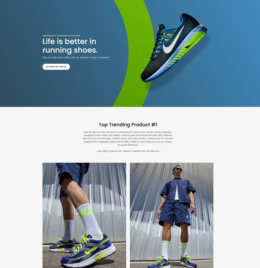 Landing Page demo 5