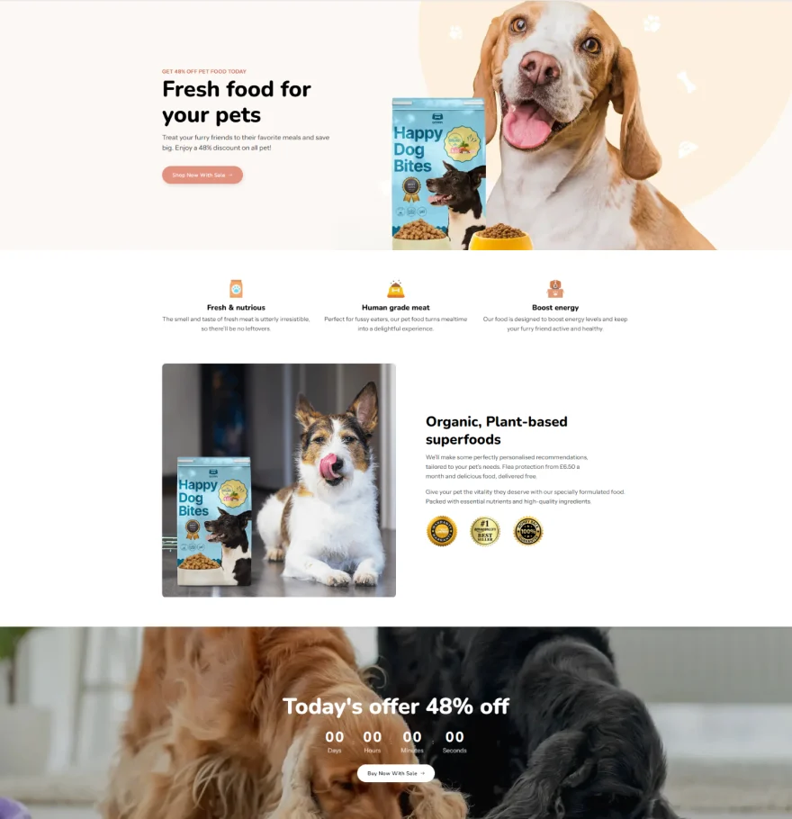 Landing Page demo 6