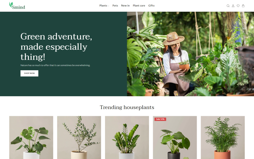 Outdoor and garden 1